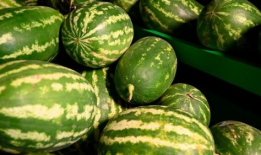 临夏吃瓜爆料最新事件,最新事件引发热议，真相究竟如何？”